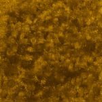 Custom Logo Mat Uploader