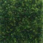 Custom Logo Mat Uploader